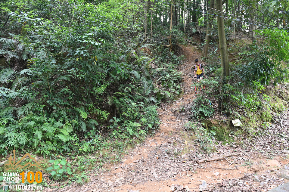 广州100越野赛_B (302)