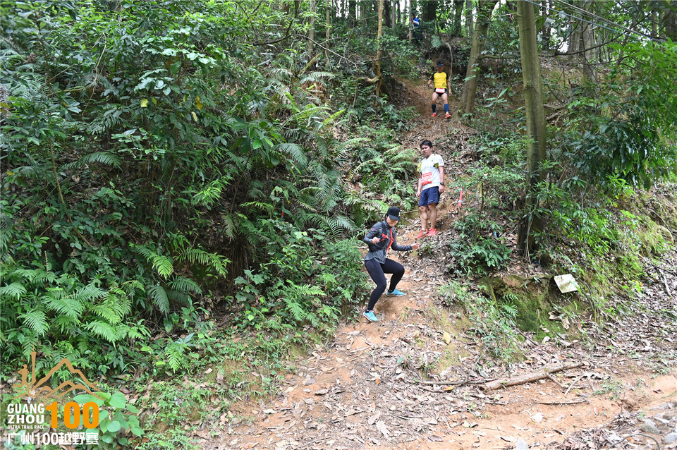 广州100越野赛_B (315)