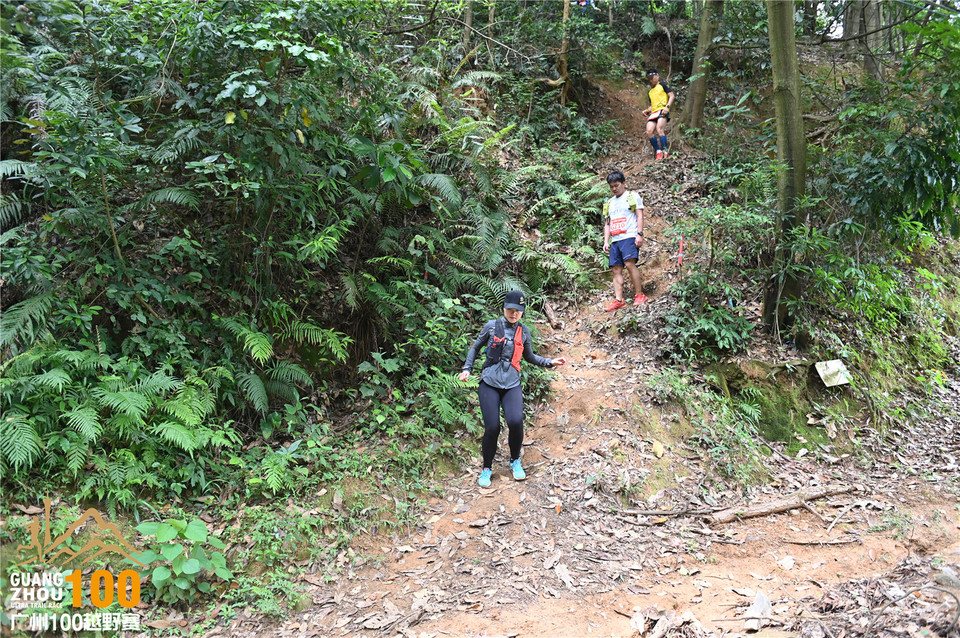 广州100越野赛_B (317)