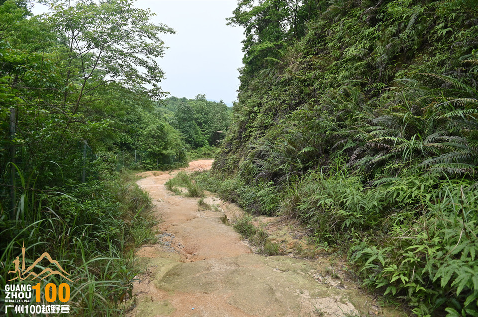 广州100越野赛_B (327)