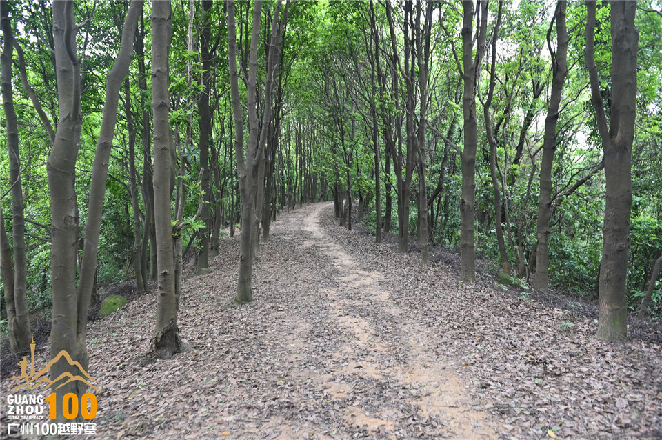 广州100越野赛_B (330)