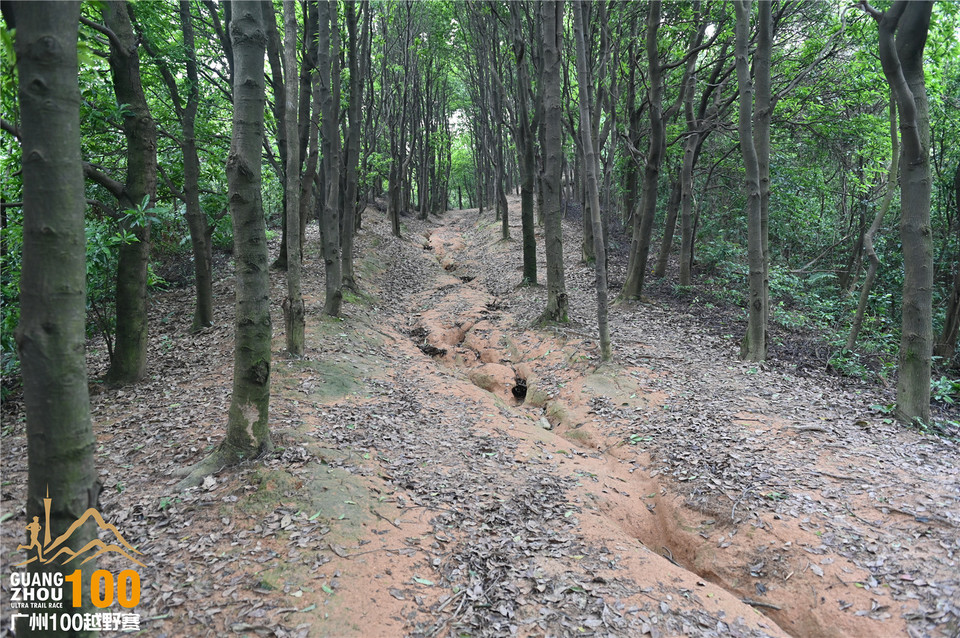 广州100越野赛_B (331)