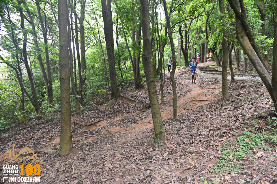 广州100越野赛_B (332)