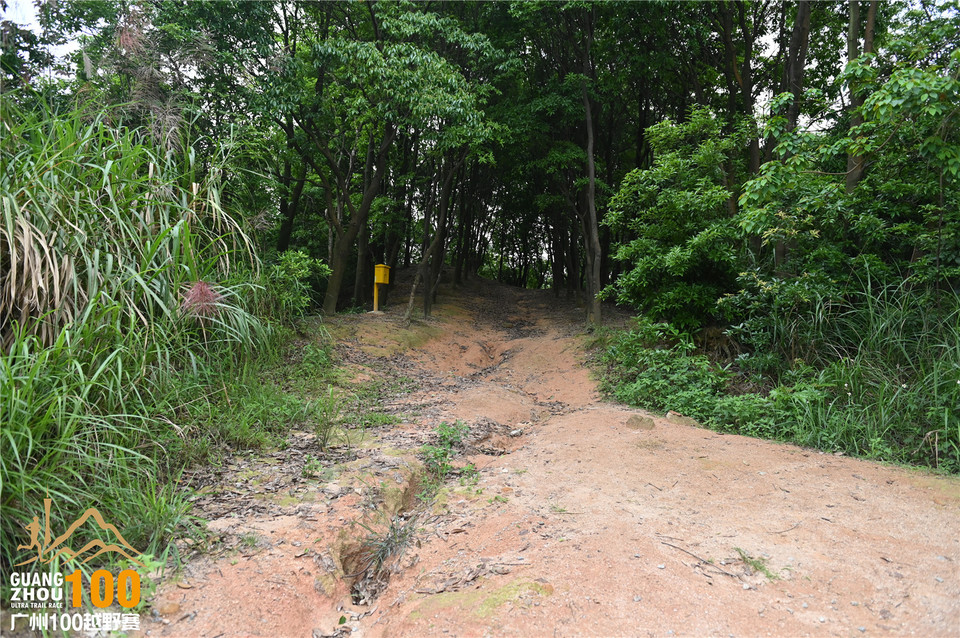 广州100越野赛_B (333)