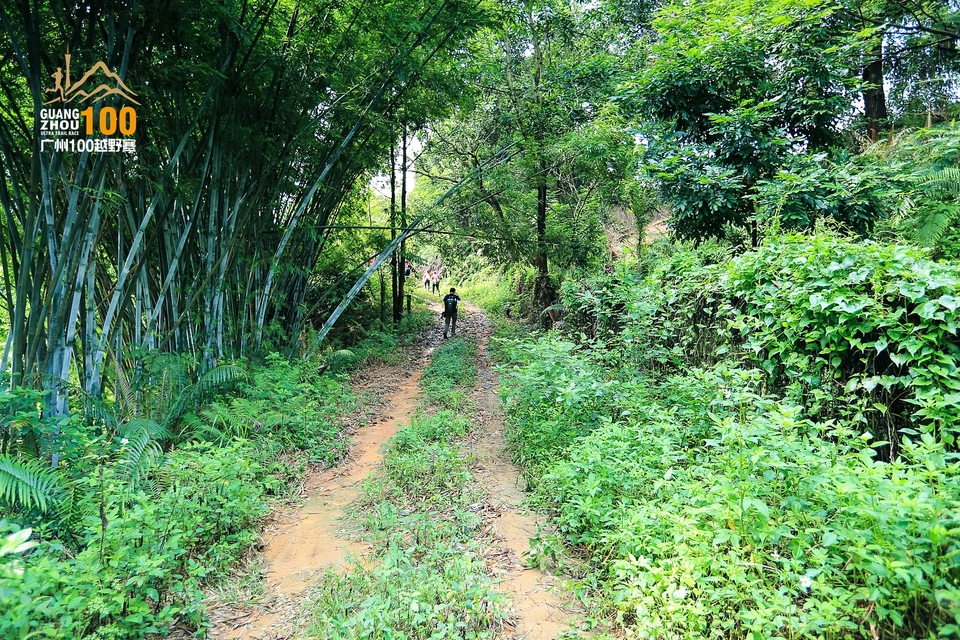 广州100越野赛0503_C (78)