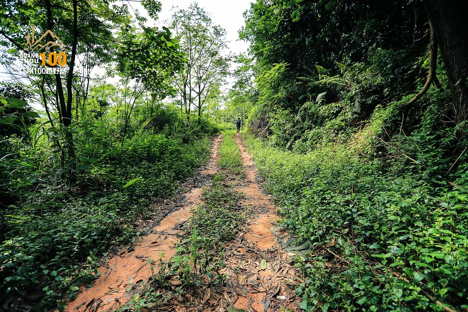 广州100越野赛0503_C (79)