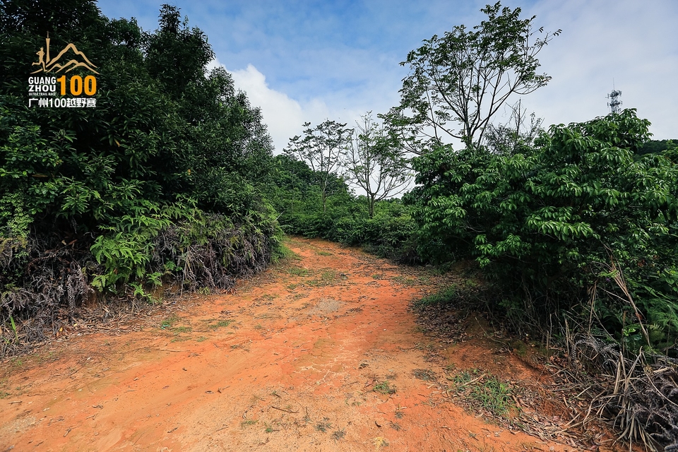 广州100越野赛0503_C (85)