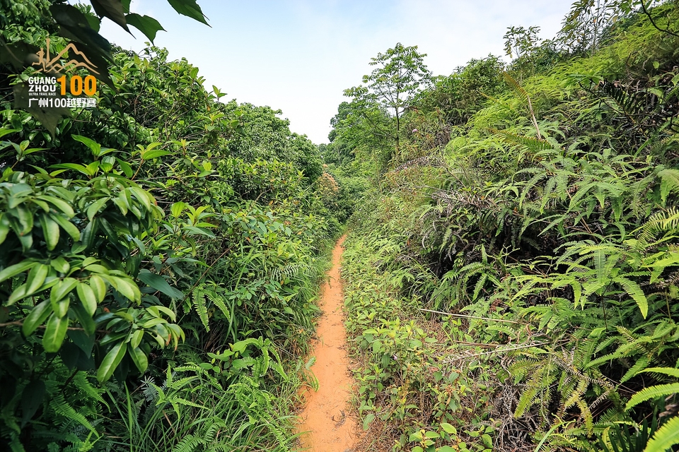 广州100越野赛0503_C (86)