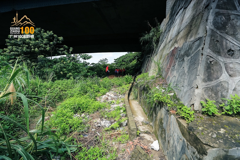 广州100越野赛0503_C (87)