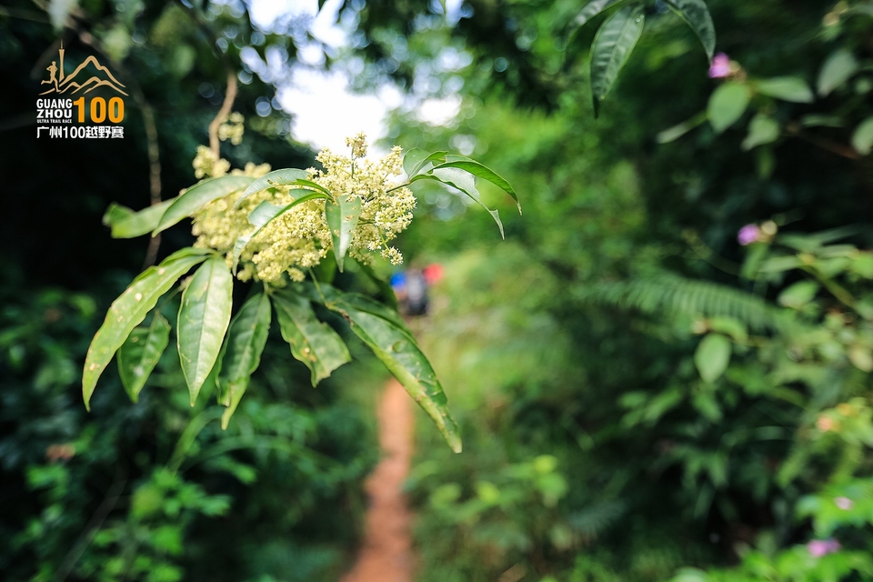 广州100越野赛0503_C (90)