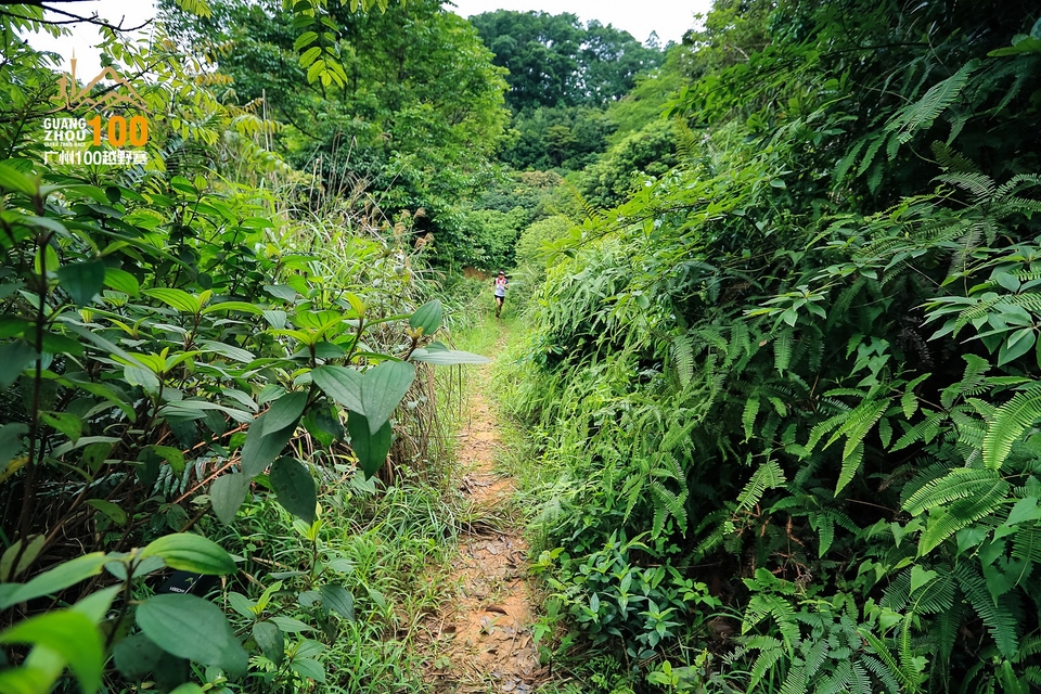 广州100越野赛0503_C (132)