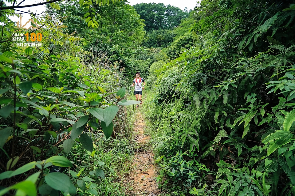 广州100越野赛0503_C (133)