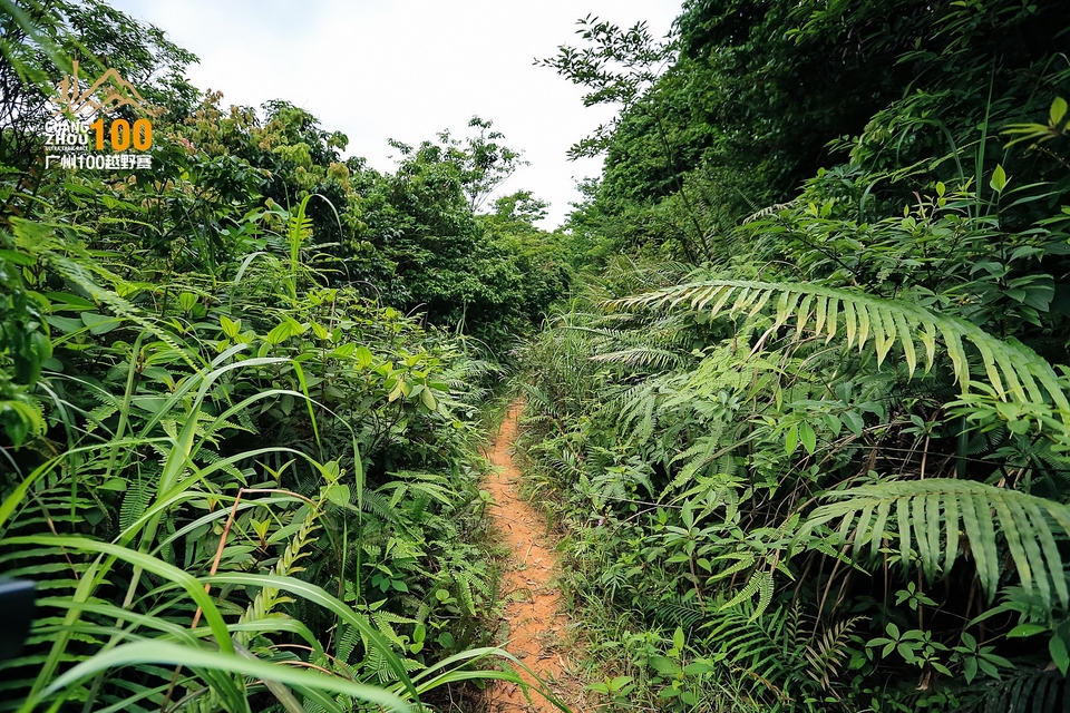 广州100越野赛0503_C (137)