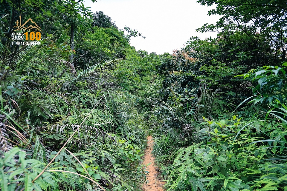 广州100越野赛0503_C (138)