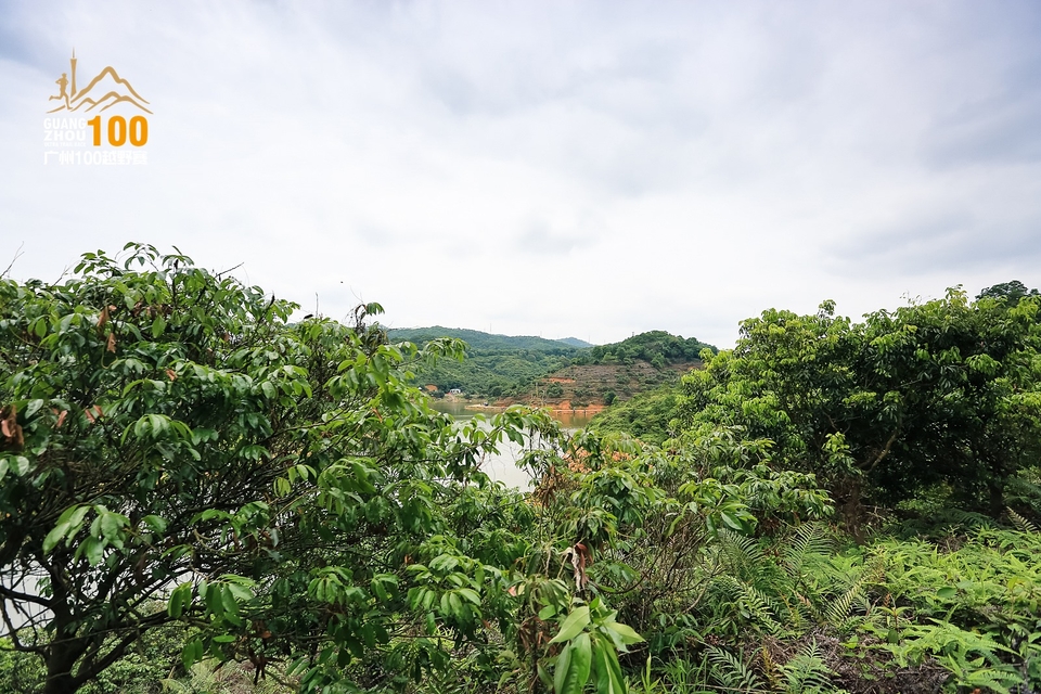 广州100越野赛0503_C (146)