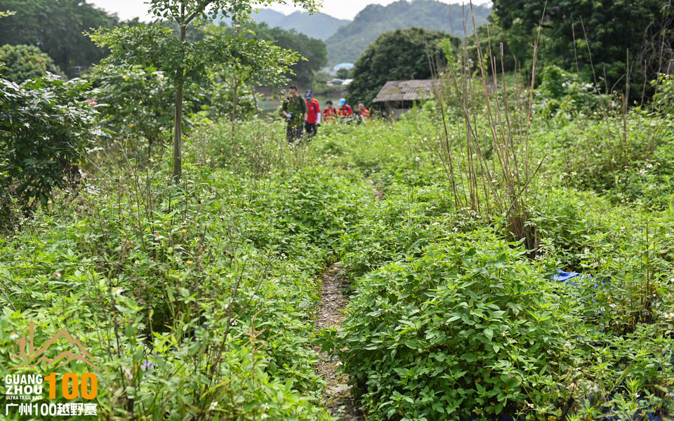 广州100越野赛_B修 (41)