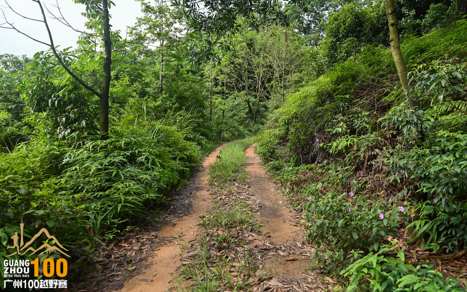 广州100越野赛_B修 (43)