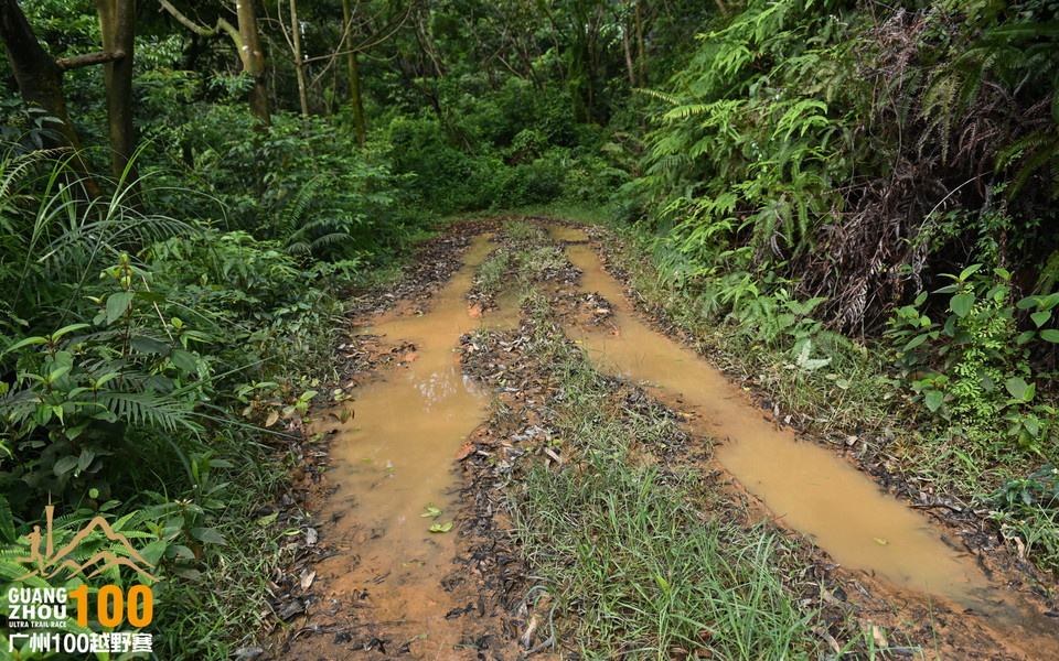 广州100越野赛_B修 (44)