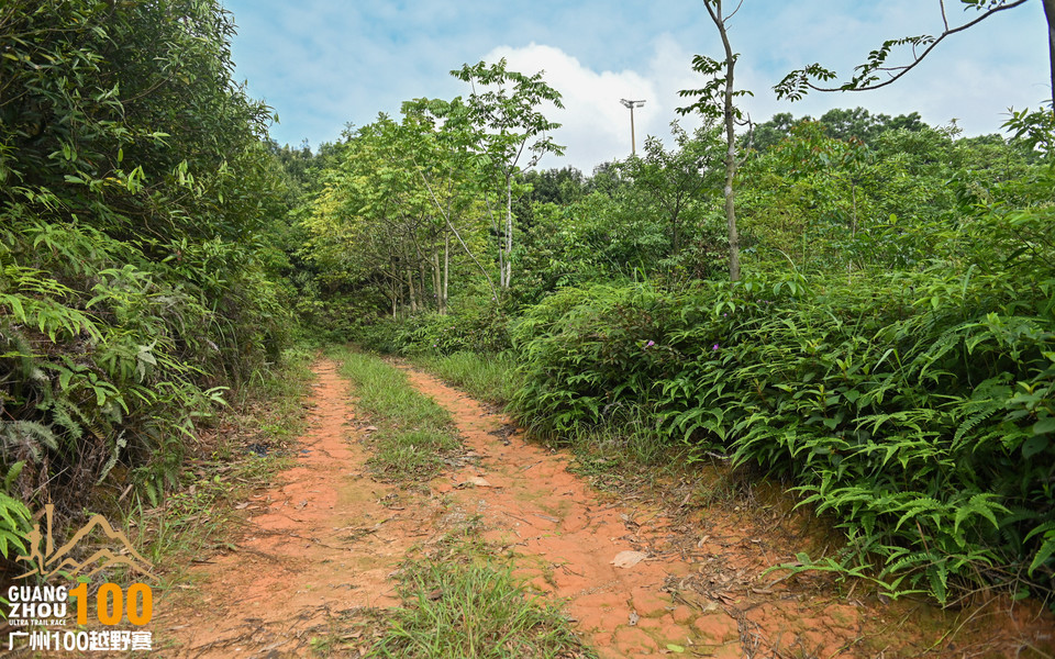 广州100越野赛_B修 (45)