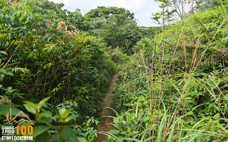 广州100越野赛_B修 (46)