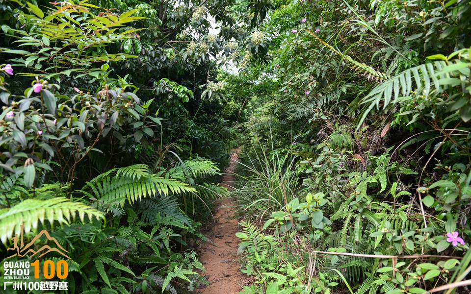 广州100越野赛_B修 (47)