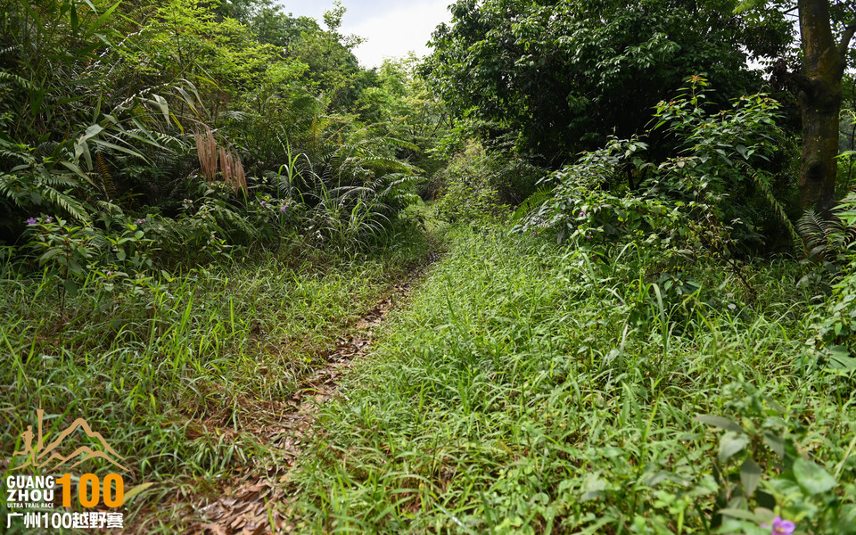 广州100越野赛_B修 (48)