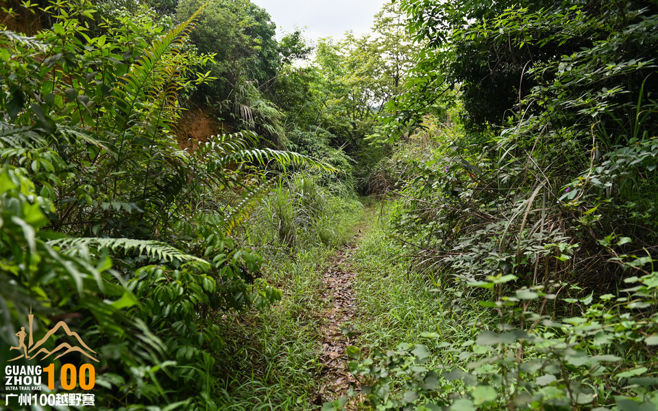 广州100越野赛_B修 (49)