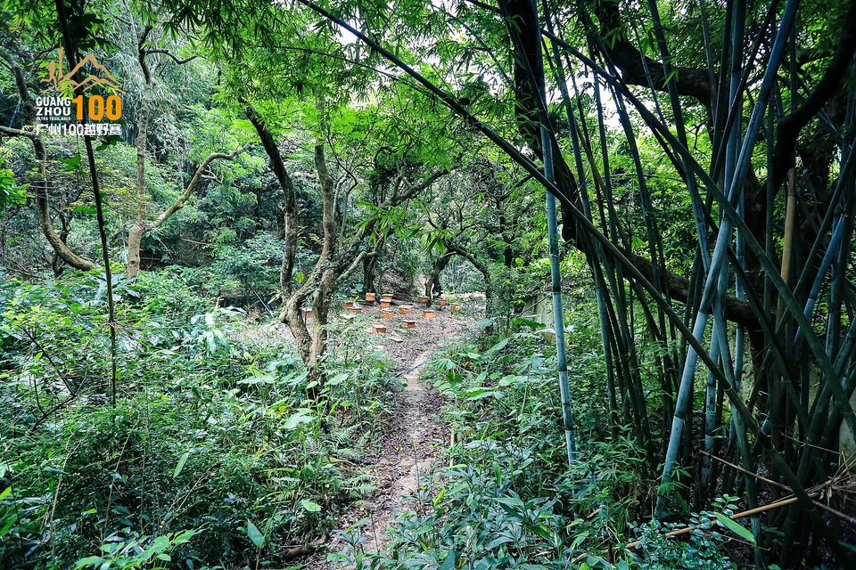 广州100越野赛0503_C (171)