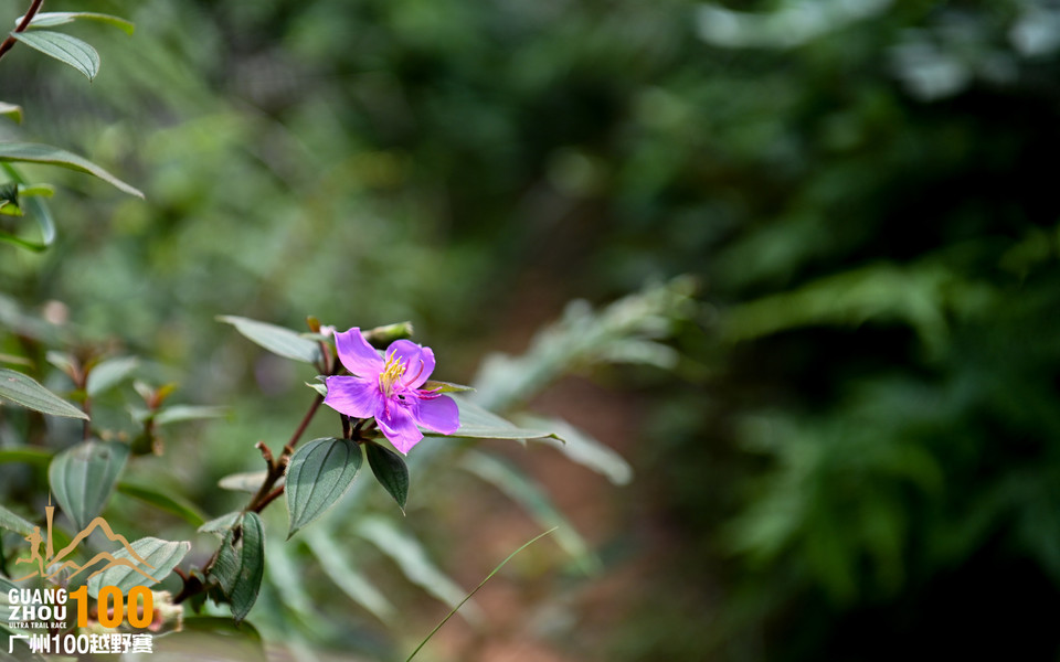 广州100越野赛_B修 (50)