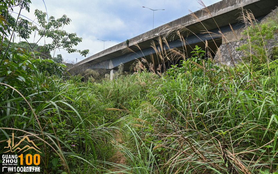 广州100越野赛_B修 (51)