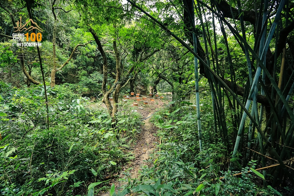 广州100越野赛0503_C (172)