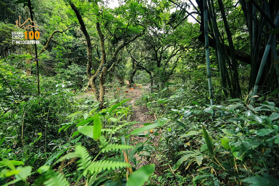 广州100越野赛0503_C (173)