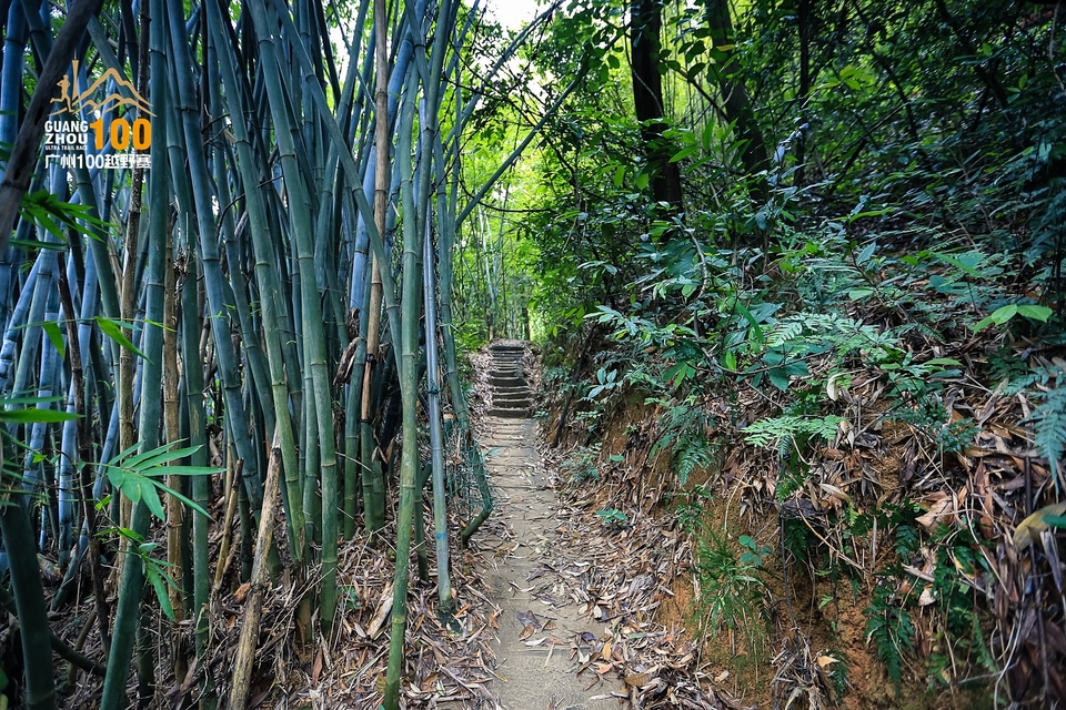 广州100越野赛0503_C (174)