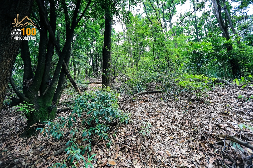 广州100越野赛0503_C (175)