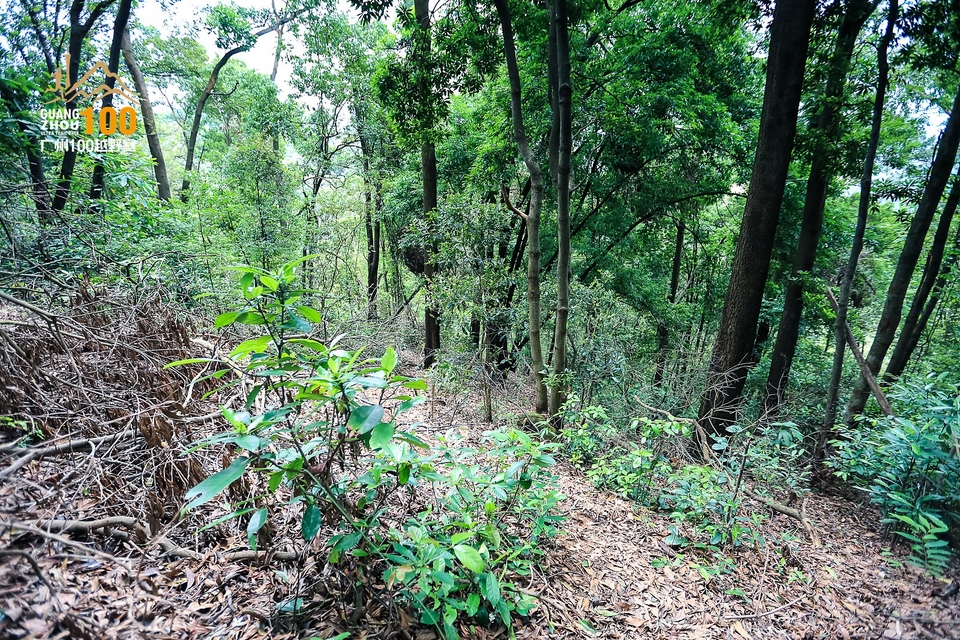 广州100越野赛0503_C (176)