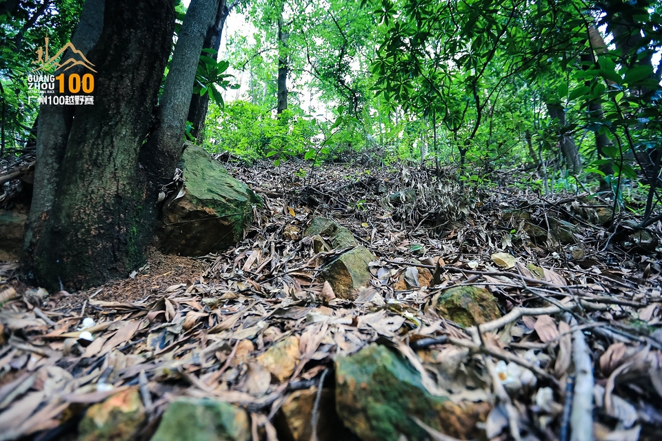 广州100越野赛0503_C (177)