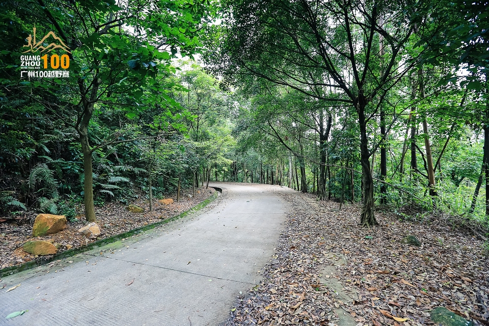 广州100越野赛0503_C (178)