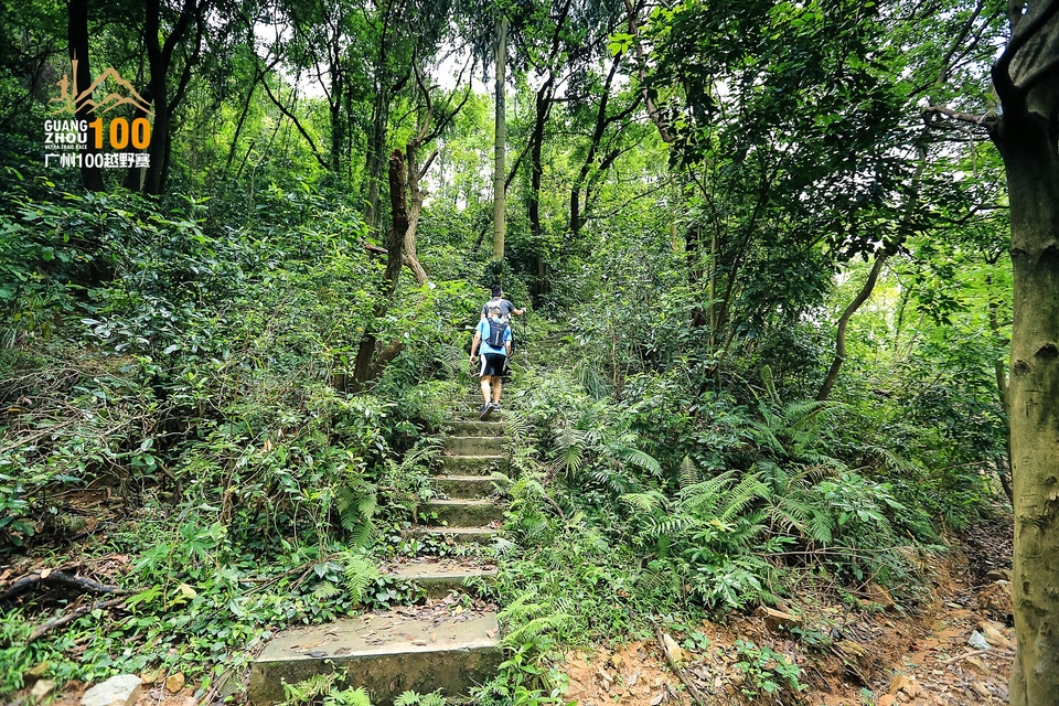 广州100越野赛0503_C (180)