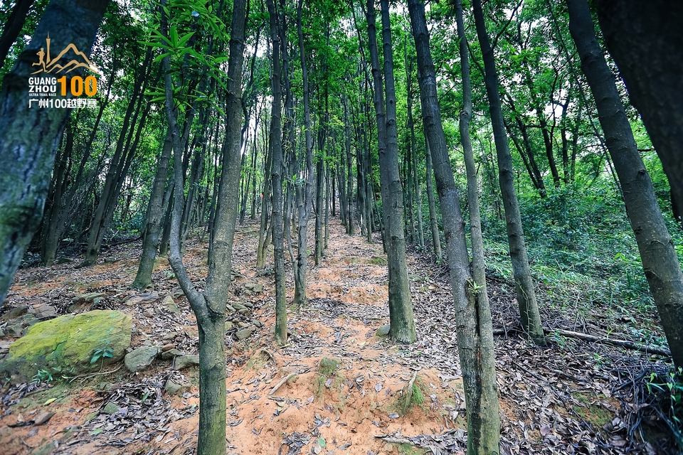 广州100越野赛0503_C (182)