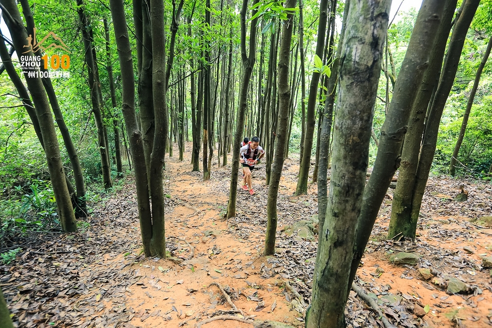 广州100越野赛0503_C (183)