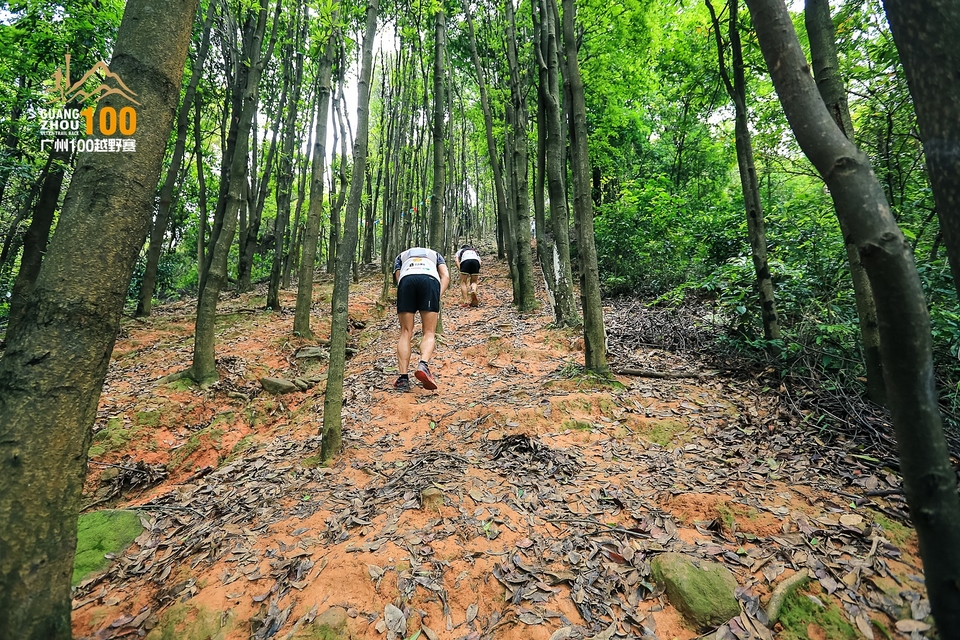 广州100越野赛0503_C (189)