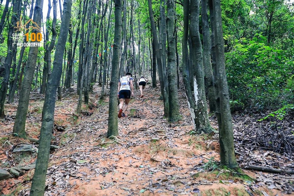 广州100越野赛0503_C (190)