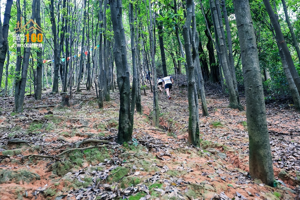 广州100越野赛0503_C (191)