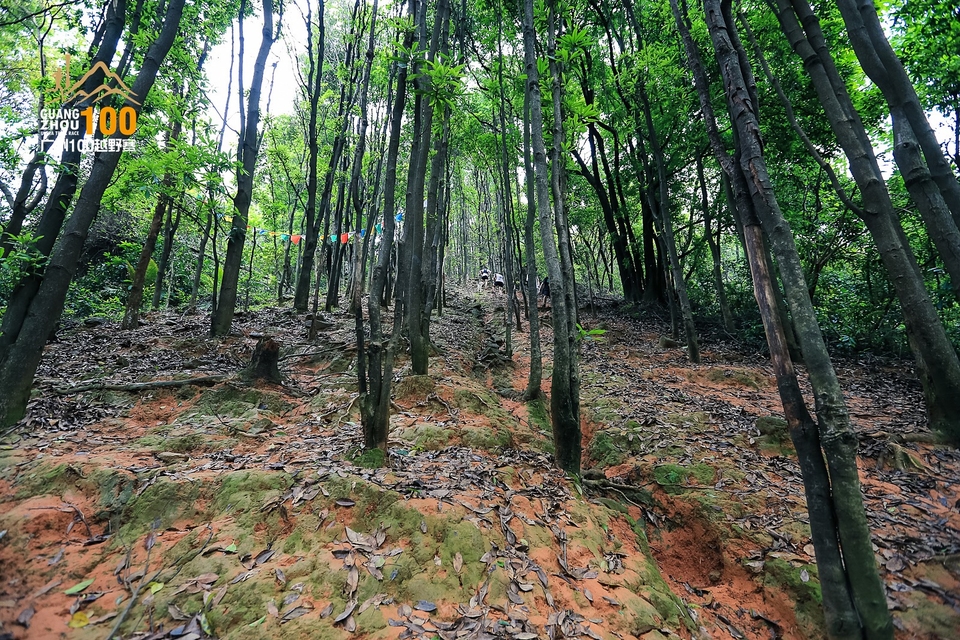 广州100越野赛0503_C (192)