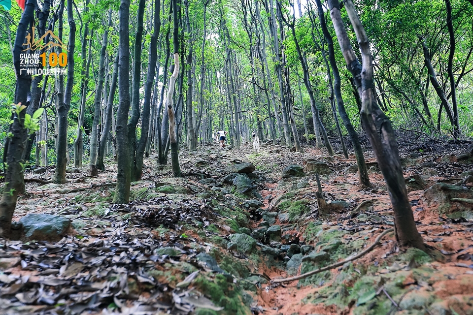 广州100越野赛0503_C (193)