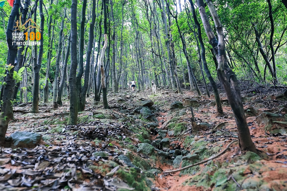 广州100越野赛0503_C (194)