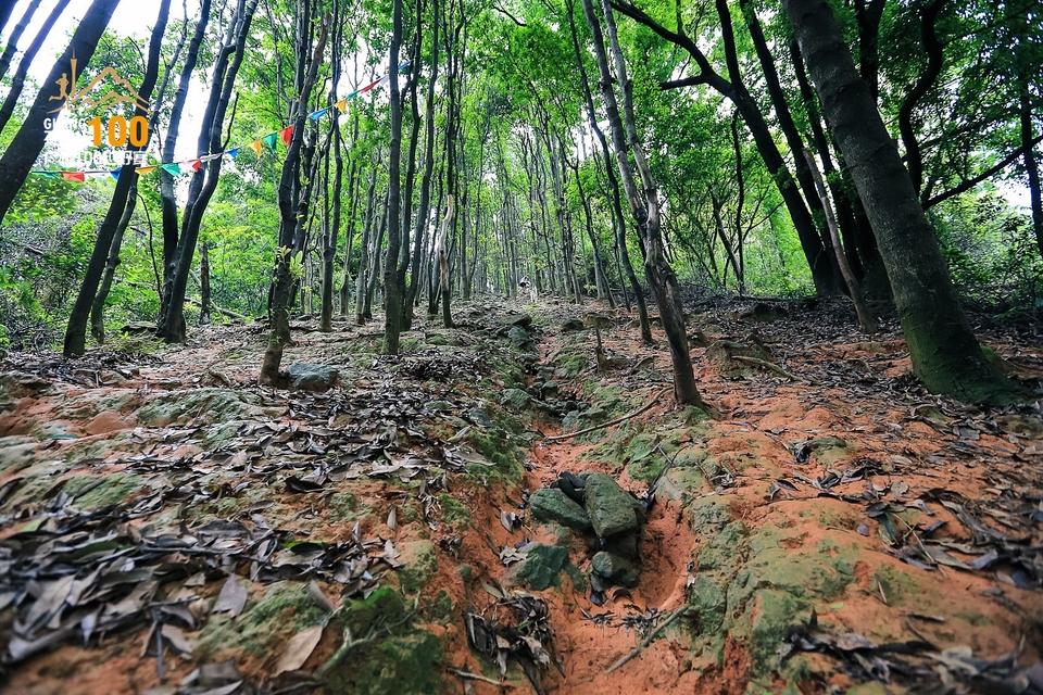 广州100越野赛0503_C (195)