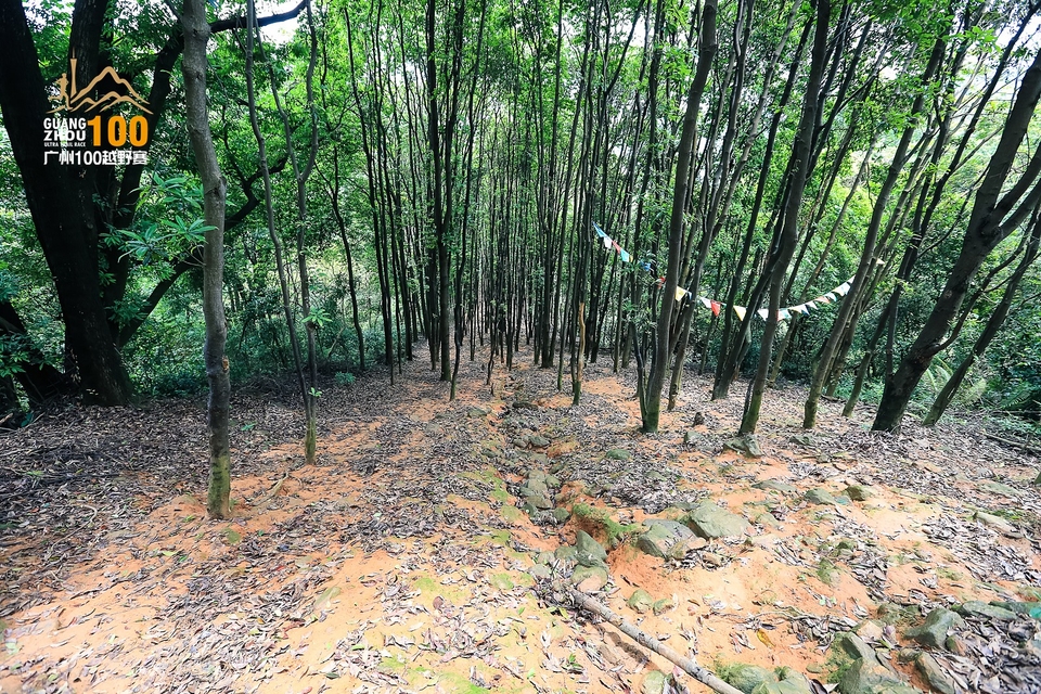 广州100越野赛0503_C (196)