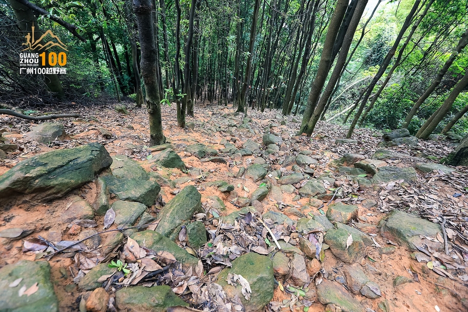 广州100越野赛0503_C (197)