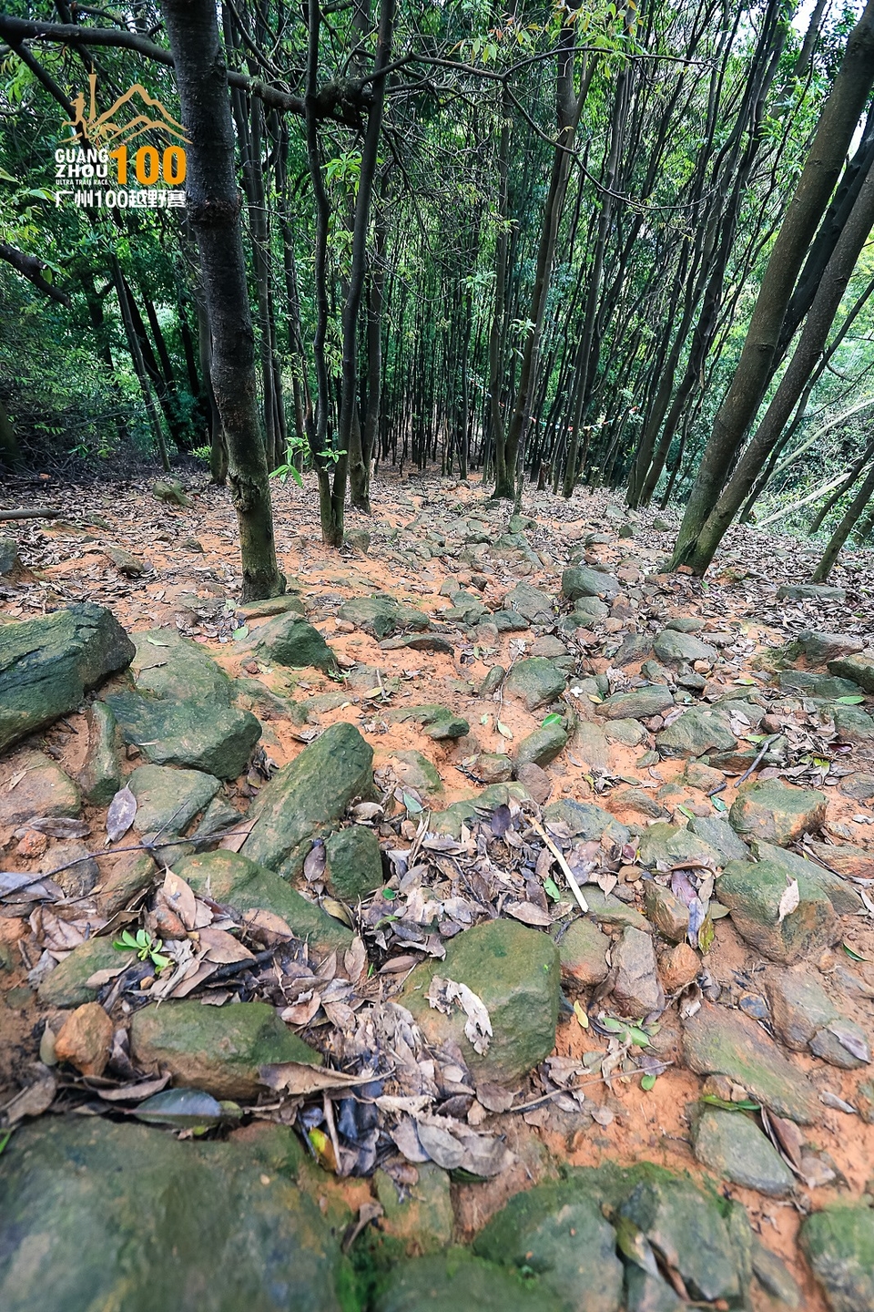 广州100越野赛0503_C (198)
